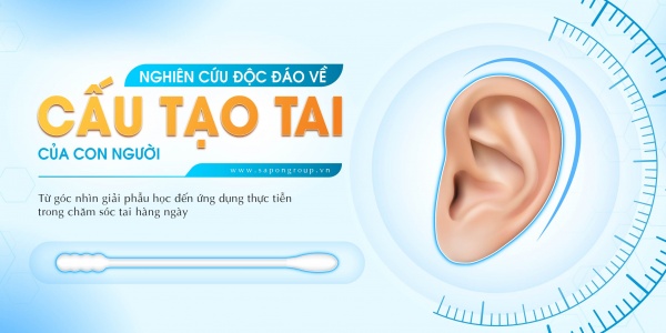 NGHIÊN CỨU ĐỘC ĐÁO VỀ CẤU TẠO TAI CỦA CON NGƯỜI
