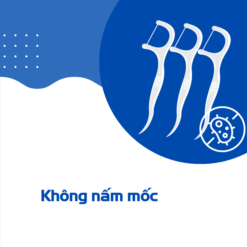 Không nấm mốc